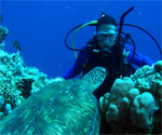 Dive Spirit - Corsair Reef