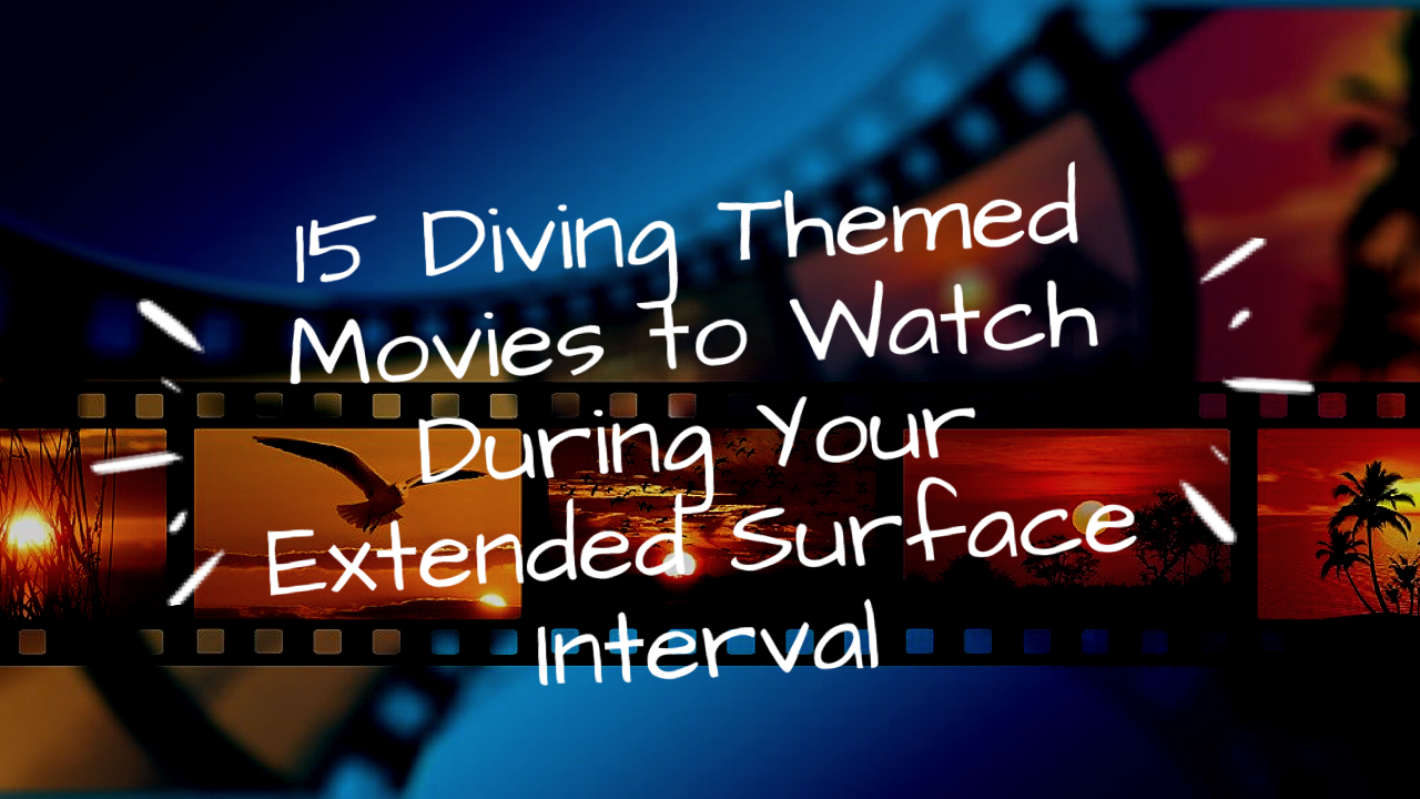 Blog - 15 diving themed movies to watch during your extended surface interval